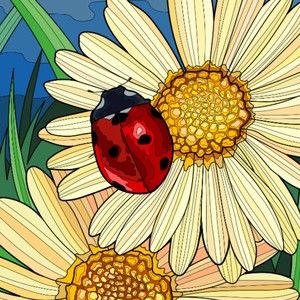 Meet your Posher, Rita